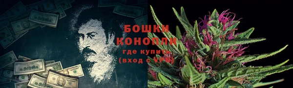 мдпв Верхний Тагил
