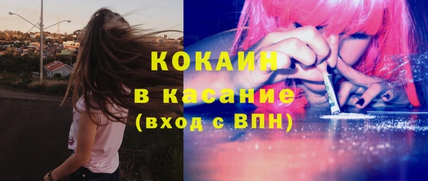 мдпв Верхний Тагил