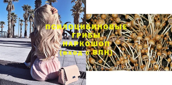 мдпв Верхний Тагил
