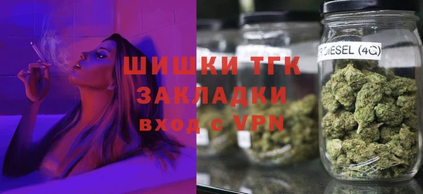 мдпв Верхний Тагил